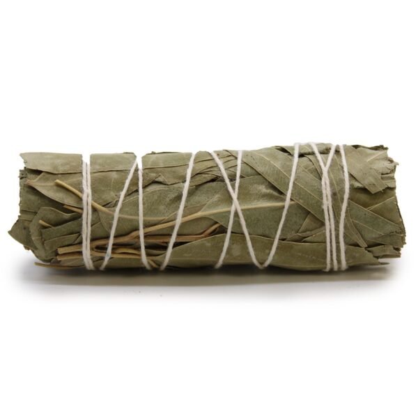bG9jYWw6Ly9tZWRpYS85Uy9FRS82MFIzMEMxRzZSU0tFRTlTLzAxYjcyZmFkLmpwZWc.jpg Salvia Blanca y Eucalipto