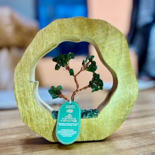 bG9jYWw6Ly9tZWRpYS85Ry8yRS82MFIzMEMxSDc0UksyRTlHLzU2OGUwMDIxLmpwZWc.jpg Jardín del Árbol de Piedras Preciosas - Anillo de Madera de Mango - Aventurina Verde - 60 chips de piedra