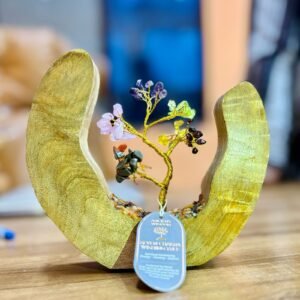 bG9jYWw6Ly9tZWRpYS85Sy8yRS82MFIzMEMxSDc0UksyRTlLLzRmNDc0ZDA0LmpwZWc.jpg Jardín del Árbol de Piedras Preciosas - Anillo Abierto de Madera de Mango - Siete Chakras - 60 piedras en chips