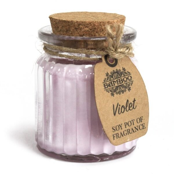 bG9jYWw6Ly9tZWRpYS85Uy8yQy82MFIzMEMxRzZHVjMyQzlTL2ZhODhiODg3LmpwZWc.jpg Vela de Cera de Soja Tarro - Violeta