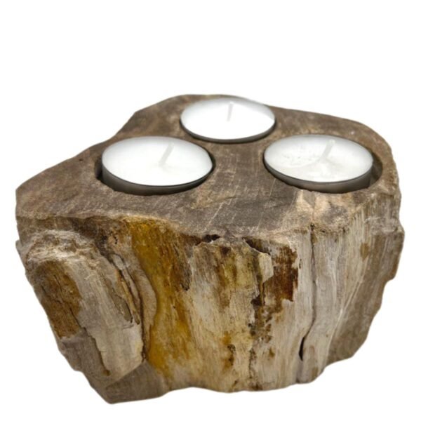bG9jYWw6Ly9tZWRpYS8xRy9FRS82MFIzMEMxRzZSVjNFRTFHL2ExNzA1ZTgyLmpwZWc.jpg Portavelas de Madera Petrificada - Triple