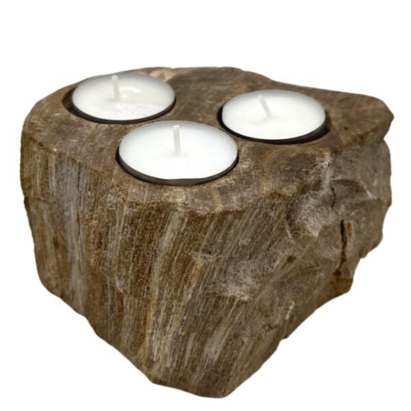 bG9jYWw6Ly9tZWRpYS8xSC9FRS82MFIzMEMxRzZSVjNFRTFIL2I0NWI2ZjQzLmpwZWc.jpg Portavelas de Madera Petrificada - Triple