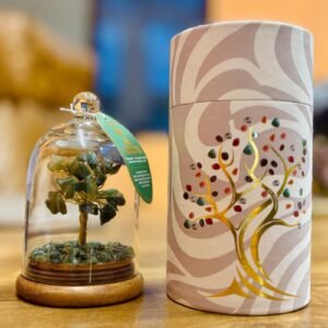 bG9jYWw6Ly9tZWRpYS8xSi80Qy82MFIzMEMxSDc0Uks0QzFKLzNjYWQ2ZDQ3LmpwZWc.jpg Jardín de la cúpula de gemas - Aventurina verde - 30 chipstones