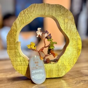 bG9jYWw6Ly9tZWRpYS8xUy8yRS82MFIzMEMxSDc0UksyRTFTLzgyNzg4NDY0LmpwZWc.jpg Jardín del Árbol de Piedras Preciosas - Anillo de Madera de Mango - Siete Chakras - 60 Piedras en Chips