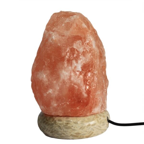 bG9jYWw6Ly9tZWRpYS9TSi9FQy82MFIzMEMxRzZHVEtFQ1NKLzk2NDdjMTU1LmpwZWc-1.jpg Natural (2 - 3 kg)